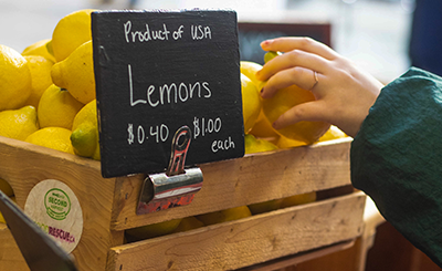 lemons for sale at a flexible price