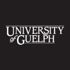 University of Guelph logo