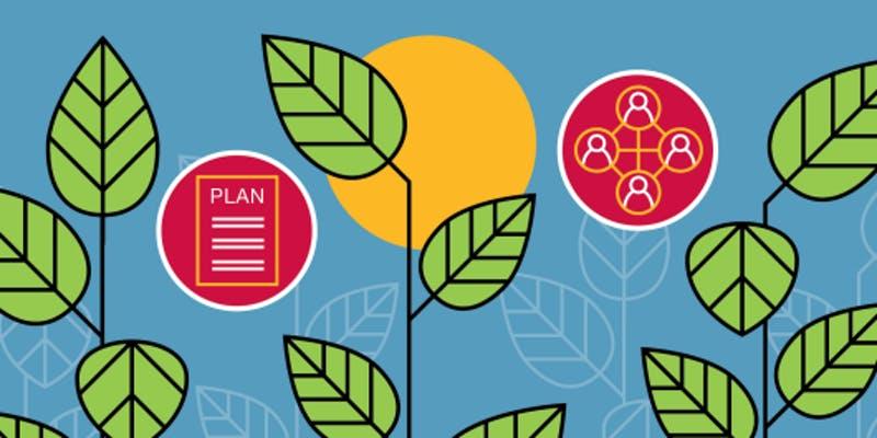 An image of plants beside an icon of a work plan and an icon of a mind map.