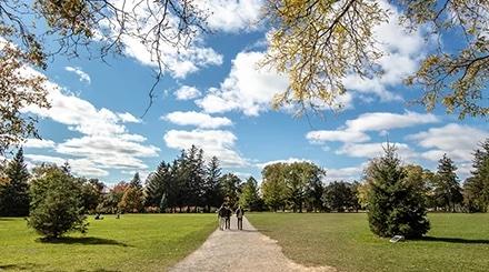 Two people from afar walking a path through a green field toward a forest. The sky is blue and there are white fluffy clouds.